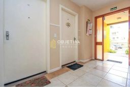 https://img.olx.com.br/thumbs256x256/73/739563522141321.jpg
