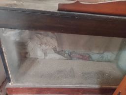 https://img.olx.com.br/thumbs256x256/73/739588251380180.jpg