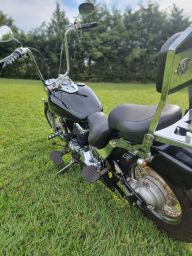 https://img.olx.com.br/thumbs256x256/74/740592402851300.jpg