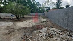 https://img.olx.com.br/thumbs256x256/74/740635419095516.jpg