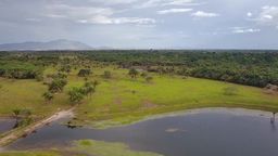 Título do anúncio: #10 Òtima fazenda em Roraima com 194 hectares para pecuária