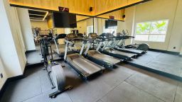 https://img.olx.com.br/thumbs256x256/74/741504283054275.jpg