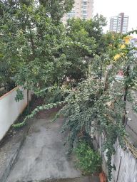 https://img.olx.com.br/thumbs256x256/74/741660679502392.jpg