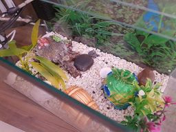 Vendo aqu�rio