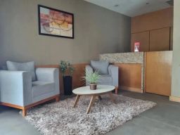 https://img.olx.com.br/thumbs256x256/74/743550399590722.jpg