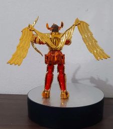 https://img.olx.com.br/thumbs256x256/74/743654425052573.jpg