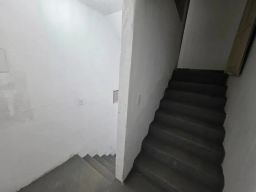 https://img.olx.com.br/thumbs256x256/74/743689420408408.jpg