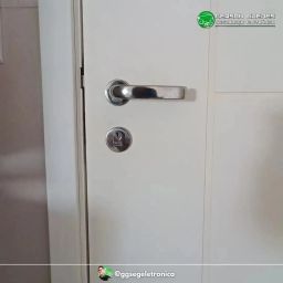 https://img.olx.com.br/thumbs256x256/74/744425808366442.jpg