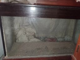 https://img.olx.com.br/thumbs256x256/74/744571738280631.jpg