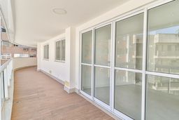 https://img.olx.com.br/thumbs256x256/74/745205180302737.jpg