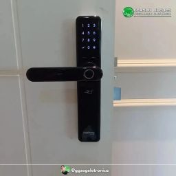 https://img.olx.com.br/thumbs256x256/74/745465087182444.jpg