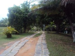https://img.olx.com.br/thumbs256x256/74/746560517999967.jpg