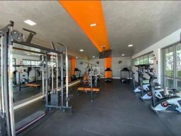 https://img.olx.com.br/thumbs256x256/74/747502764215831.jpg