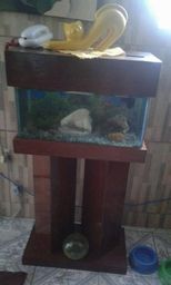 Aqu�rio completo