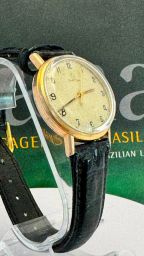 https://img.olx.com.br/thumbs256x256/74/748668798038951.jpg