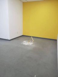 https://img.olx.com.br/thumbs256x256/74/749568641582186.jpg