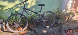 https://img.olx.com.br/thumbs256x256/74/749596635778433.jpg