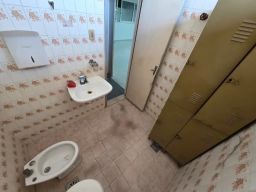 https://img.olx.com.br/thumbs256x256/74/749688905736205.jpg