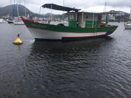 https://img.olx.com.br/thumbs256x256/75/750335873717113.jpg