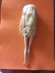 https://img.olx.com.br/thumbs256x256/75/750338704178429.jpg