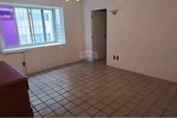 https://img.olx.com.br/thumbs256x256/75/750541509169752.jpg