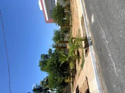 https://img.olx.com.br/thumbs256x256/75/751561394674714.jpg