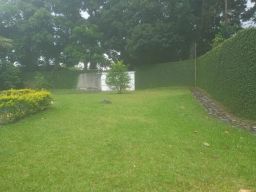 https://img.olx.com.br/thumbs256x256/75/752562765760925.jpg