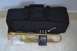 https://img.olx.com.br/thumbs256x256/75/752585038932175.jpg