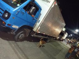993869933 o verdadeiro caminh�o ba� padr�o mudan�a pre�o justo �timo