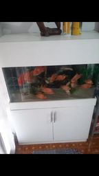 Aquario 200l sump movel 100�50x40