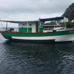 https://img.olx.com.br/thumbs256x256/75/753387515443948.jpg