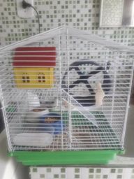 Gaiola de 2 anda com o ramist