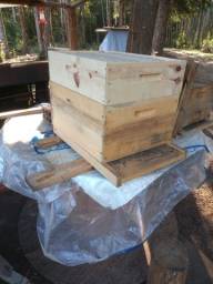 Título do anúncio: Caixas para abelhas madeira de eucalipto 