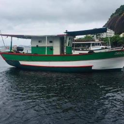 https://img.olx.com.br/thumbs256x256/75/754397036721413.jpg