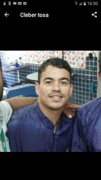 Banho e tosa a domic�lio