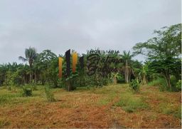 https://img.olx.com.br/thumbs256x256/75/756561281177333.jpg