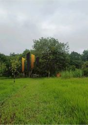https://img.olx.com.br/thumbs256x256/75/756562166202199.jpg
