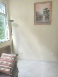 https://img.olx.com.br/thumbs256x256/75/757523765649740.jpg