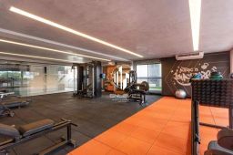https://img.olx.com.br/thumbs256x256/75/757538164445743.jpg