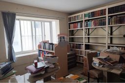 https://img.olx.com.br/thumbs256x256/75/757541383790170.jpg