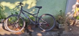 https://img.olx.com.br/thumbs256x256/75/758546270861740.jpg