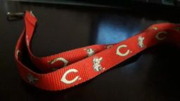 https://img.olx.com.br/thumbs256x256/76/761509244610851.jpg