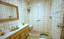 https://img.olx.com.br/thumbs256x256/76/761528047202662.jpg