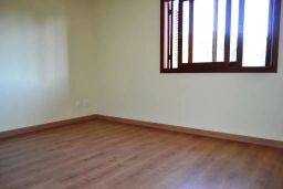 https://img.olx.com.br/thumbs256x256/76/761577401174121.jpg