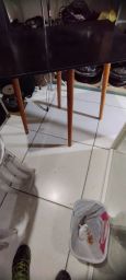 https://img.olx.com.br/thumbs256x256/76/761593150153596.jpg