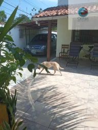 https://img.olx.com.br/thumbs256x256/76/762537163431170.jpg