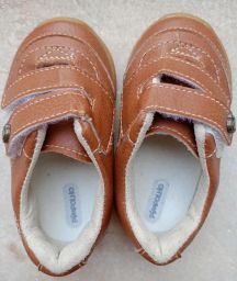 https://img.olx.com.br/thumbs256x256/76/763406173821017.jpg