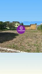 https://img.olx.com.br/thumbs256x256/76/763542031061166.jpg