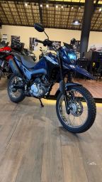 https://img.olx.com.br/thumbs256x256/76/763699676722413.jpg