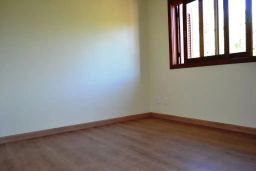 https://img.olx.com.br/thumbs256x256/76/764559643083079.jpg